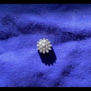 Pandora charm